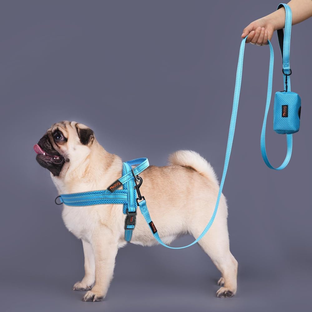 Didog No Pull Dog Harness with Soft Mesh Padded,Reflective & Quick Fit Light Weight Dog Strap Vest Harness,Easy for Walking Training (XS:Chest 15-18", Mesh-Blue)