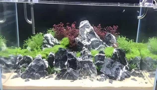 Aquarium Rocks Seiryu Stones Natural Hardscape Stone for Aquariums, Fish Tanks, Bonsai, Terrariums, Wargaming Dioramas, Indoor or Outdoor Gardens-5Lb(2-6 Inch)