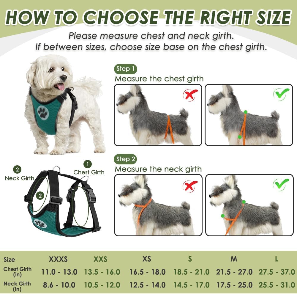SlowTon Dog Seat Belt Harness for Car, Dog Car Harness Adjustable Mesh Breathable & Dog Seatbelt Safety Tether with Elastic Bungee for Small Medium Large Pets(Green, Double Clip, XXS)