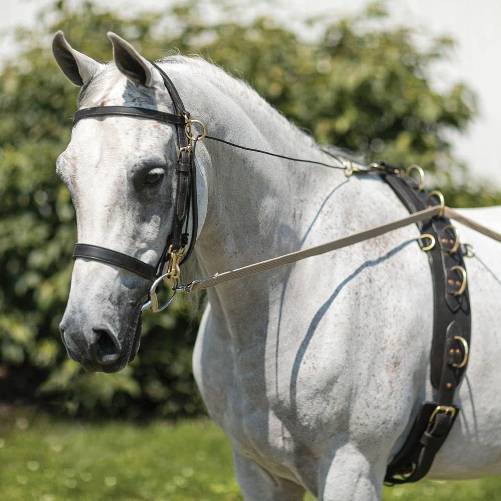 Dura-Tech Brown Cotton Web Long Lines | Ideal for Youngsters and Green Horses | for Beneficial Ground Training | Usable with Saddle or Surcingle | Heavy-Duty Cotton Web