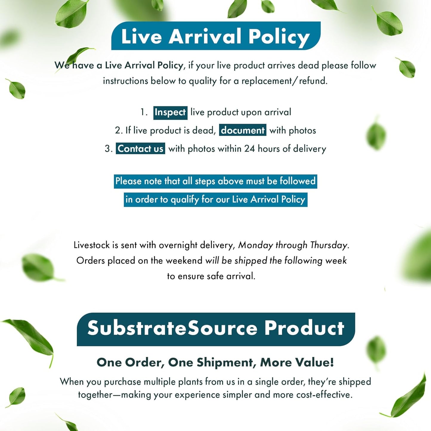 SubstrateSource Live Aquarium Stem Plants - Freshwater Aquatic Plant for Fish Tanks, Aquascaping - (Rotala H'Ra, 1 Bunch)