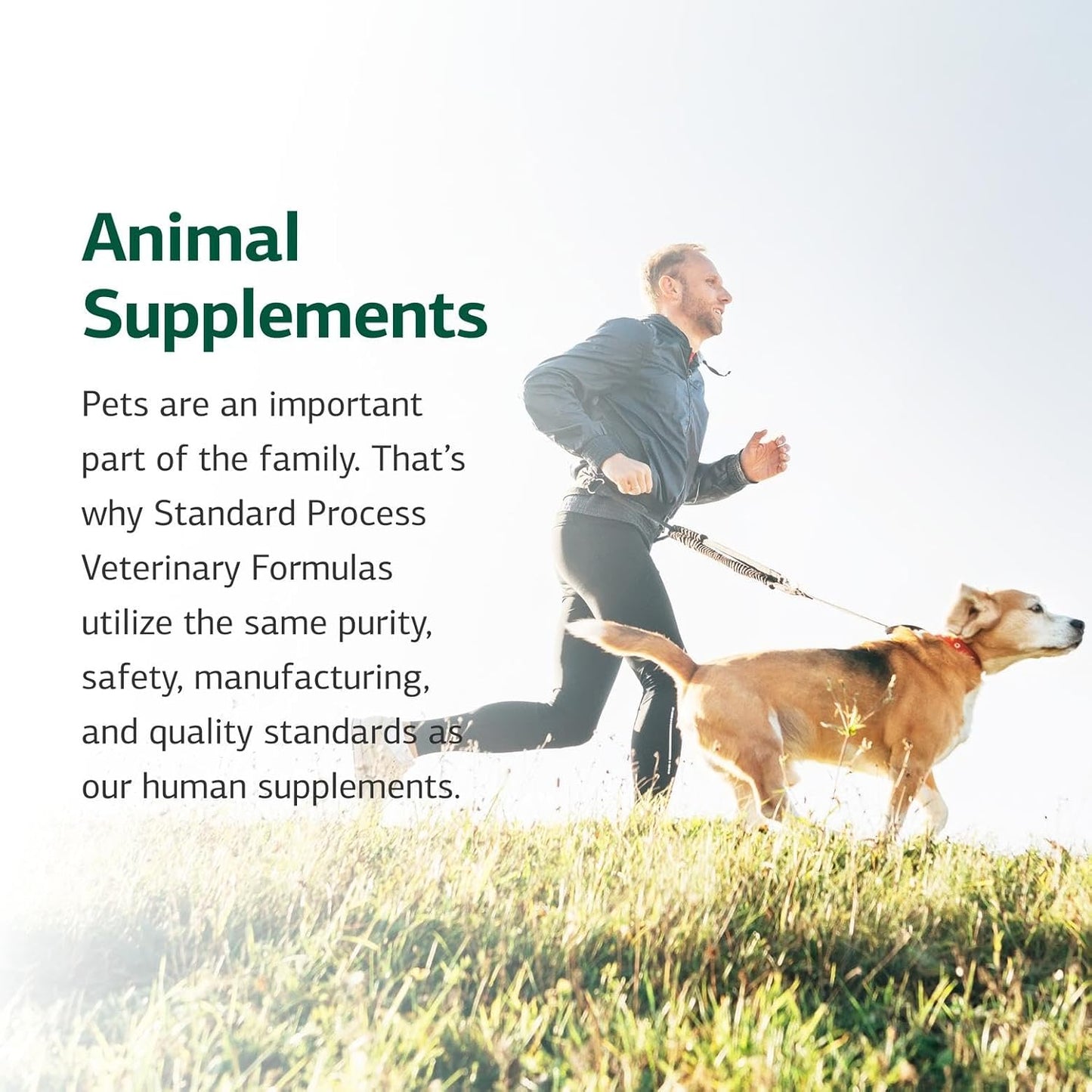 Standard Process Inc. Canine Flex Support - Joint & Immune Health Supplement for Dogs - Chewable Wafers for Healthy Joint Function Support - Nutritional Whole-Food Based Supplement - 100 wafers