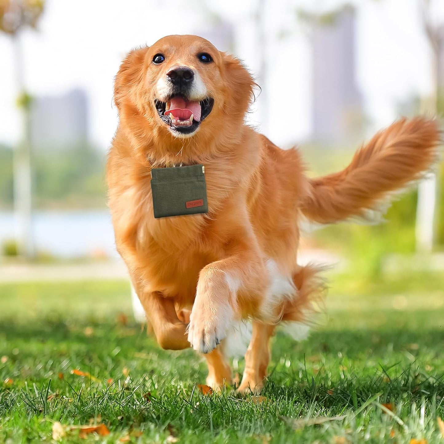 2PC Dog Treat Pouch,Dog Training Treat Reward Bag,Portable Puppy Hand Free Dog Walking Bag,Auto Closing Dog Food Dispenser,Behavior Aids for Puppy Travel or Outdoor(Grey+Khaki)