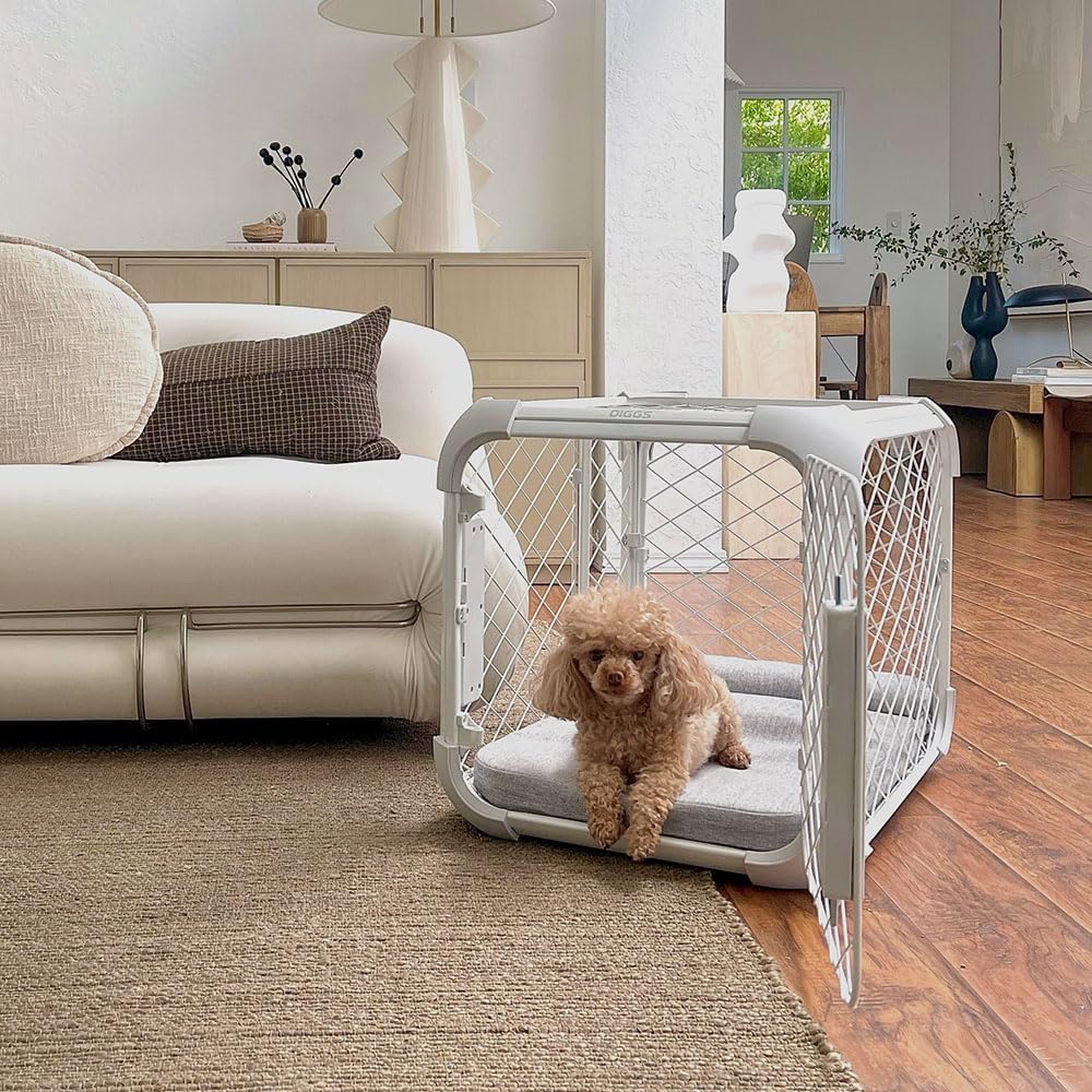 DIGGS Evolv Dog Crate - Slim, Durable Dog Kennel with Removable Ceiling Panel and Modular Design - Safe, Stylish, Convenient (Ash, Large)