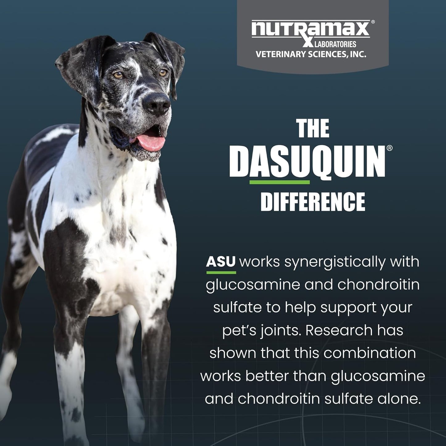 Nutramax Laboratories Dasuquin with MSM Soft Chews Large Dog 84 Count, brown