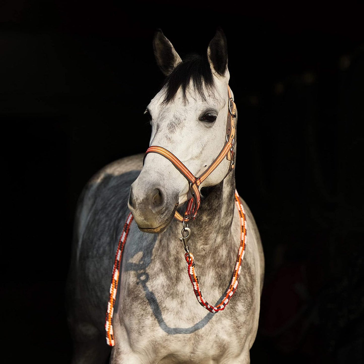 HORZE Adepto Adjustable Horse Halter | Soft, Durable Polyester - Coral Gold - Warmblood