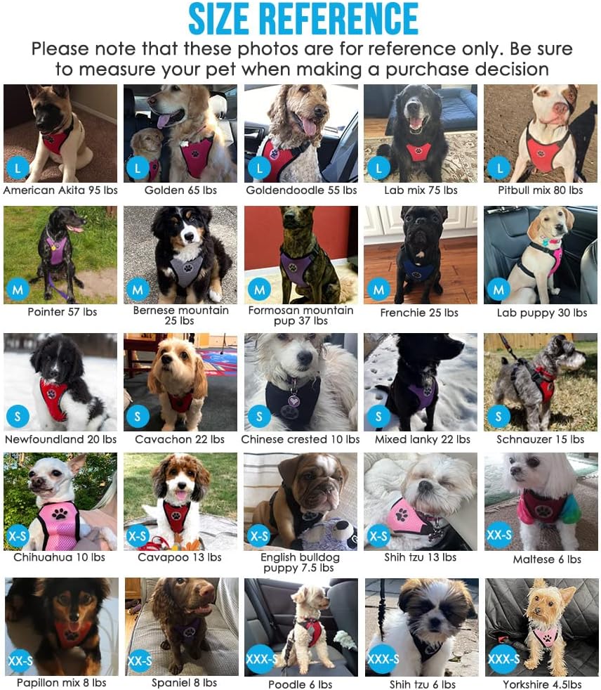 Lukovee Dog Seat Belt for Car, Adjustable Dog Car Harness for Large Medium Small Dogs, Soft Padded & Breathable Mesh Dog Seatbelt with Car Strap and Carabiner(Lime Green Double Clip,Medium)