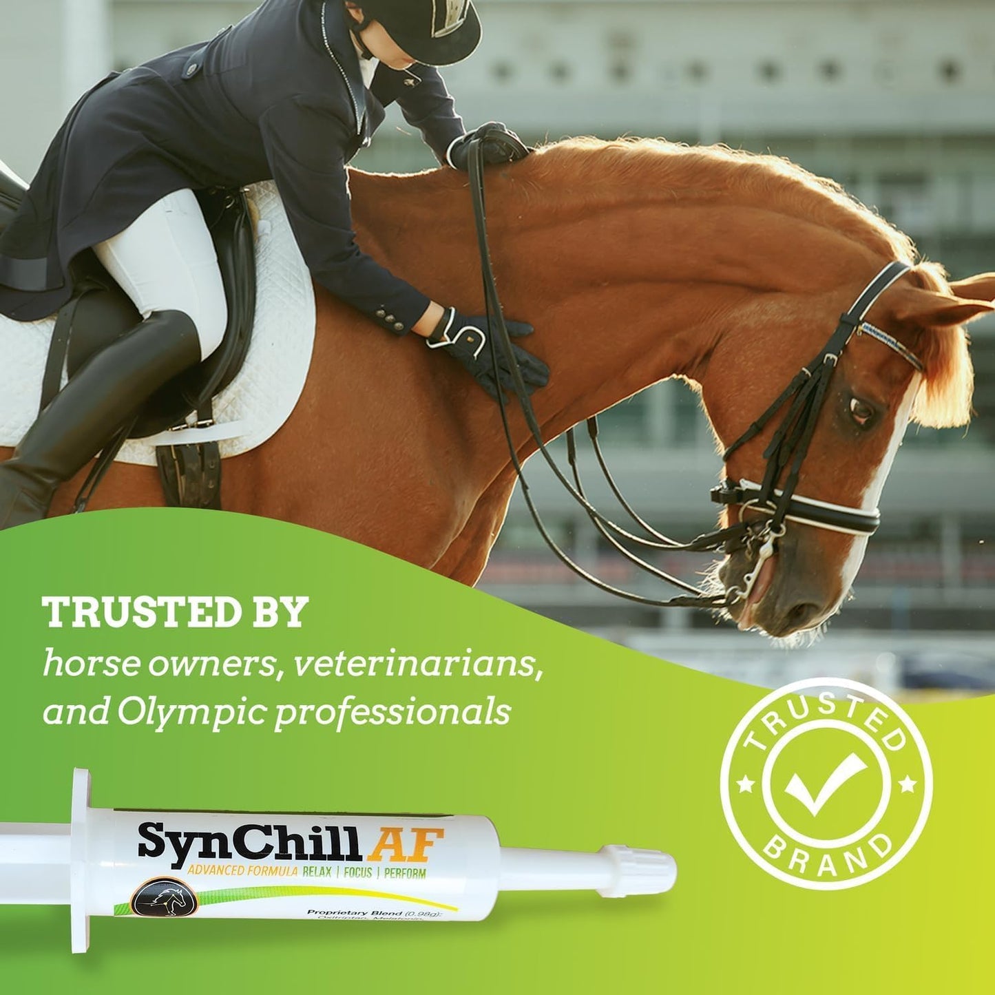 SynChill AF Calming Gel for Nervous Horses - Single Serving - Advanced Formula with L-Theanine, Increased Potency, 100% Natural Supplement, Disposition & Confidence Support for Horses - 25 Pack
