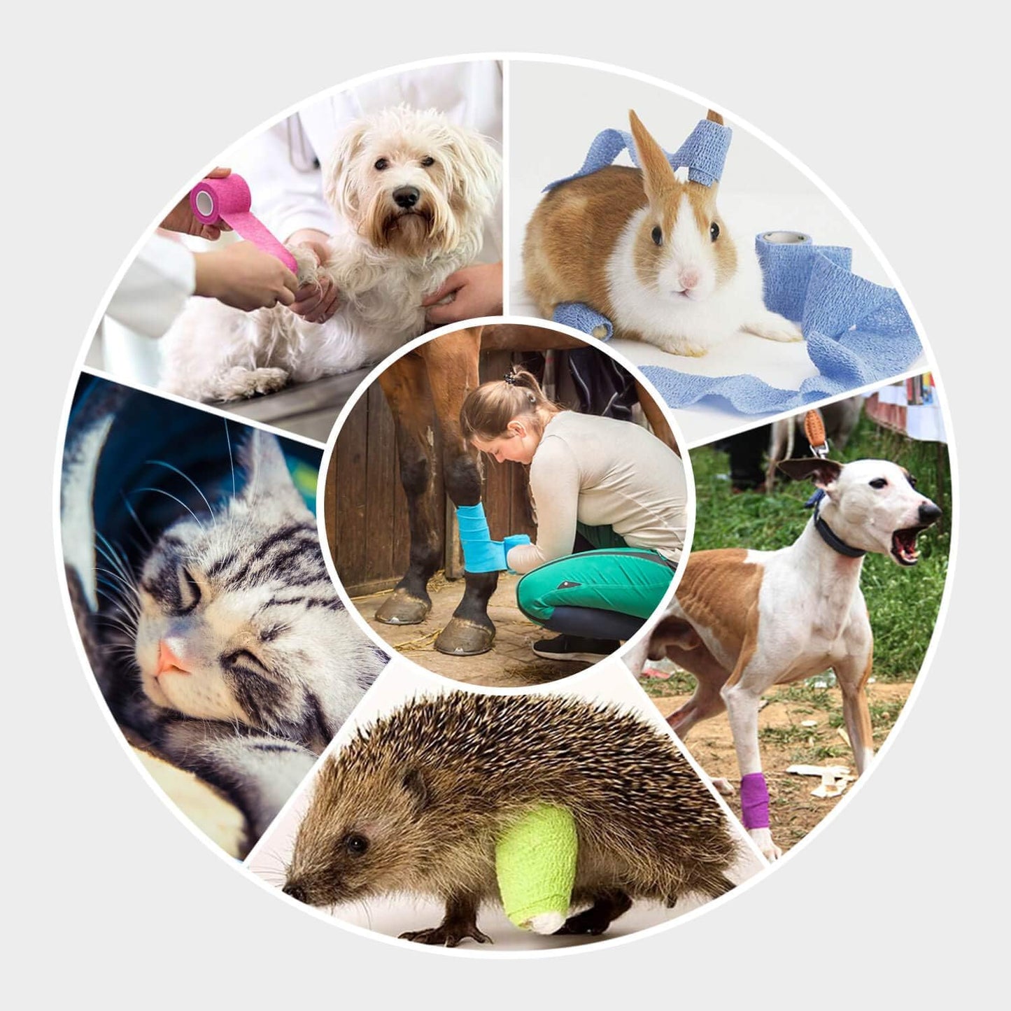 WePet Pet Wrap, Self-Adhesive Non-Woven Bandage, Emergency Cohesive Gauze, for Dogs, Cats, Horse, Birds, Wounds, Wrist Healing, Ankle Sprain, 4 Inch, 3 Rolls