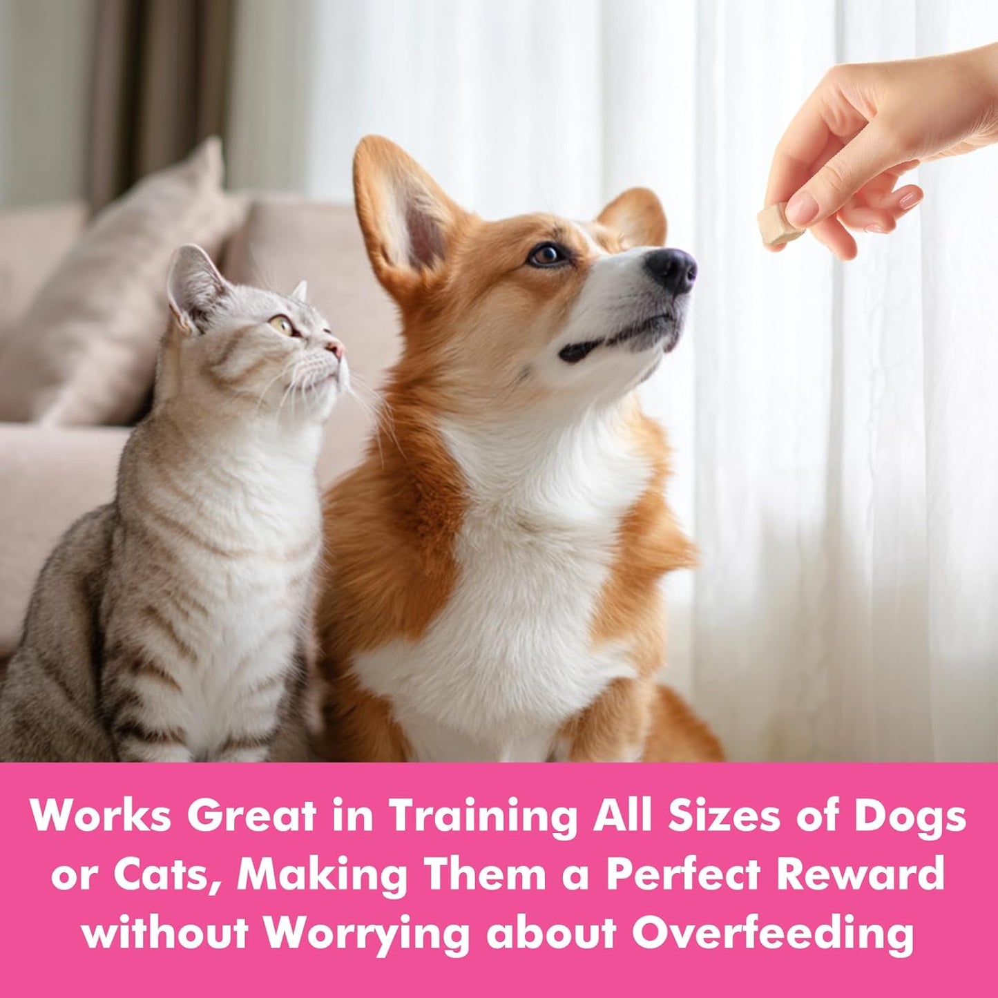 Freeze Dried Cats & Dogs Raw Treats, All Natural Single Ingredient Duck Breast, High Protein Healthy Pet Training Treats or Food Topper, 3.5 oz