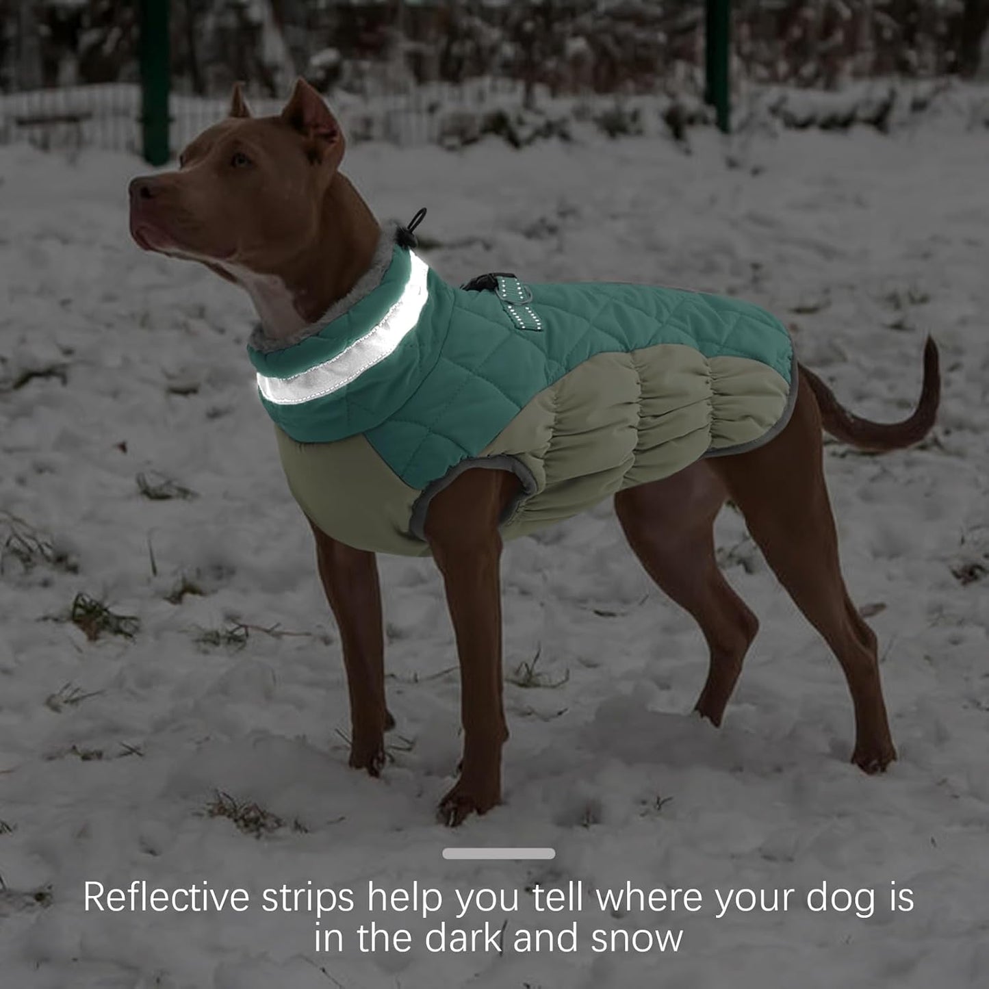 FUAMEY Dog Coat for Small Dogs,Waterproof Dog Winter Jacket with Harness Built in Puppy Cold Weather Coats Reflective Pet Vest with Zipper Warm Fleece Dogs Snowsuit Windproof Mint Green XS