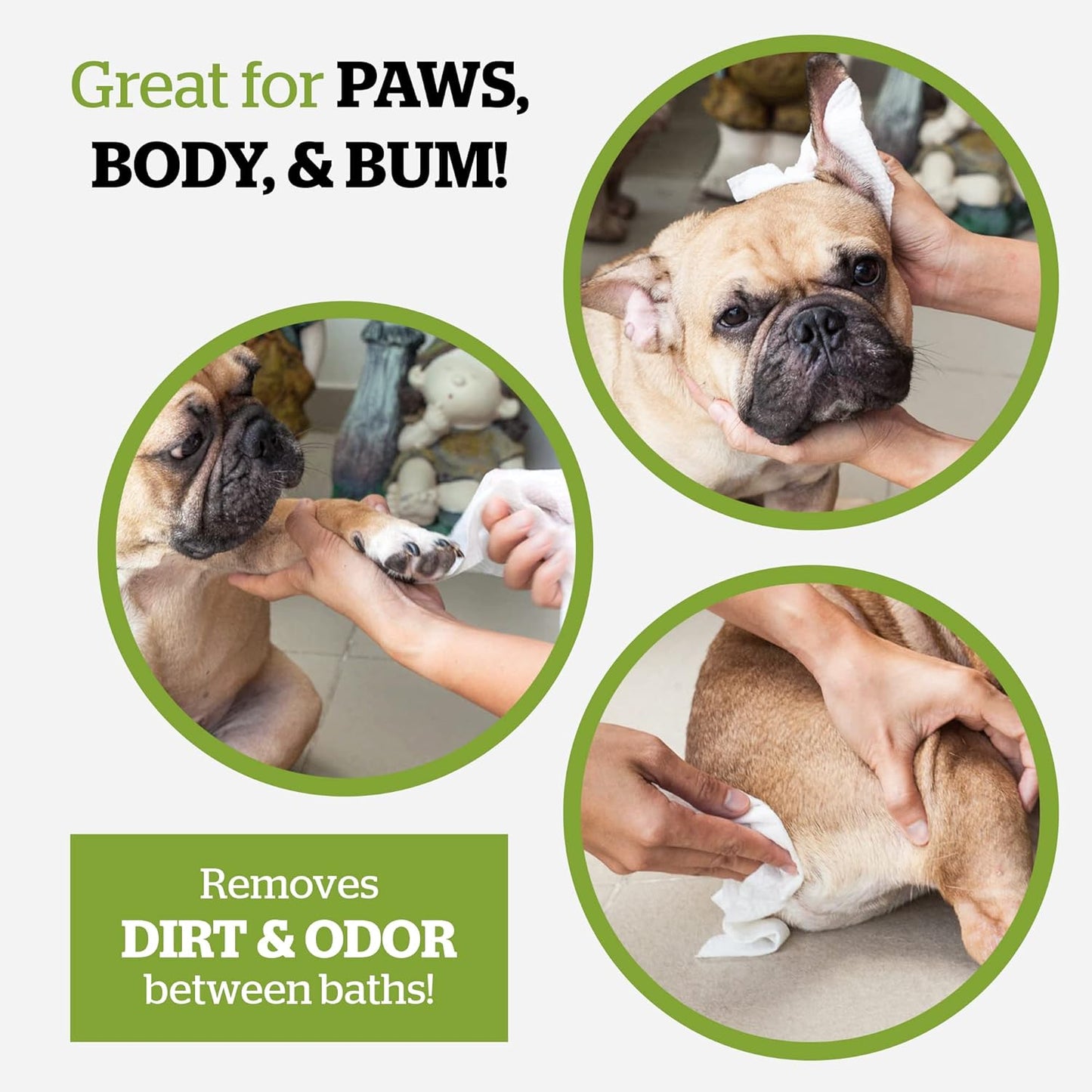 Pogi’s Dog Grooming Wipes – Hypoallergenic Pet Wipes for Paws, Body & Butt – Cleaning & Hydrating, Green Tea Scent, 100-Count