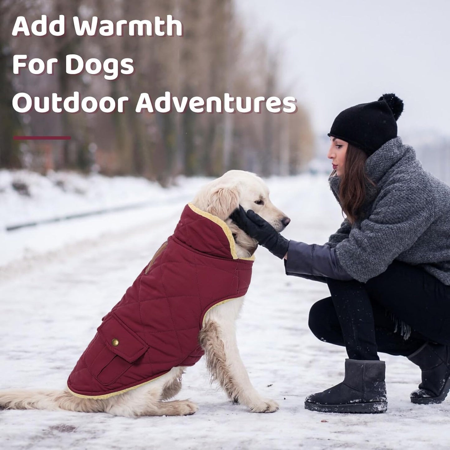 Queenmore Dog Winter Coat Warm Puffer Jacket Waterproof Plush Lining Thermal Cold Weather Vest for Small Medium Large Dogs, Windproof Easy On Pet Jacket Burgundy XS