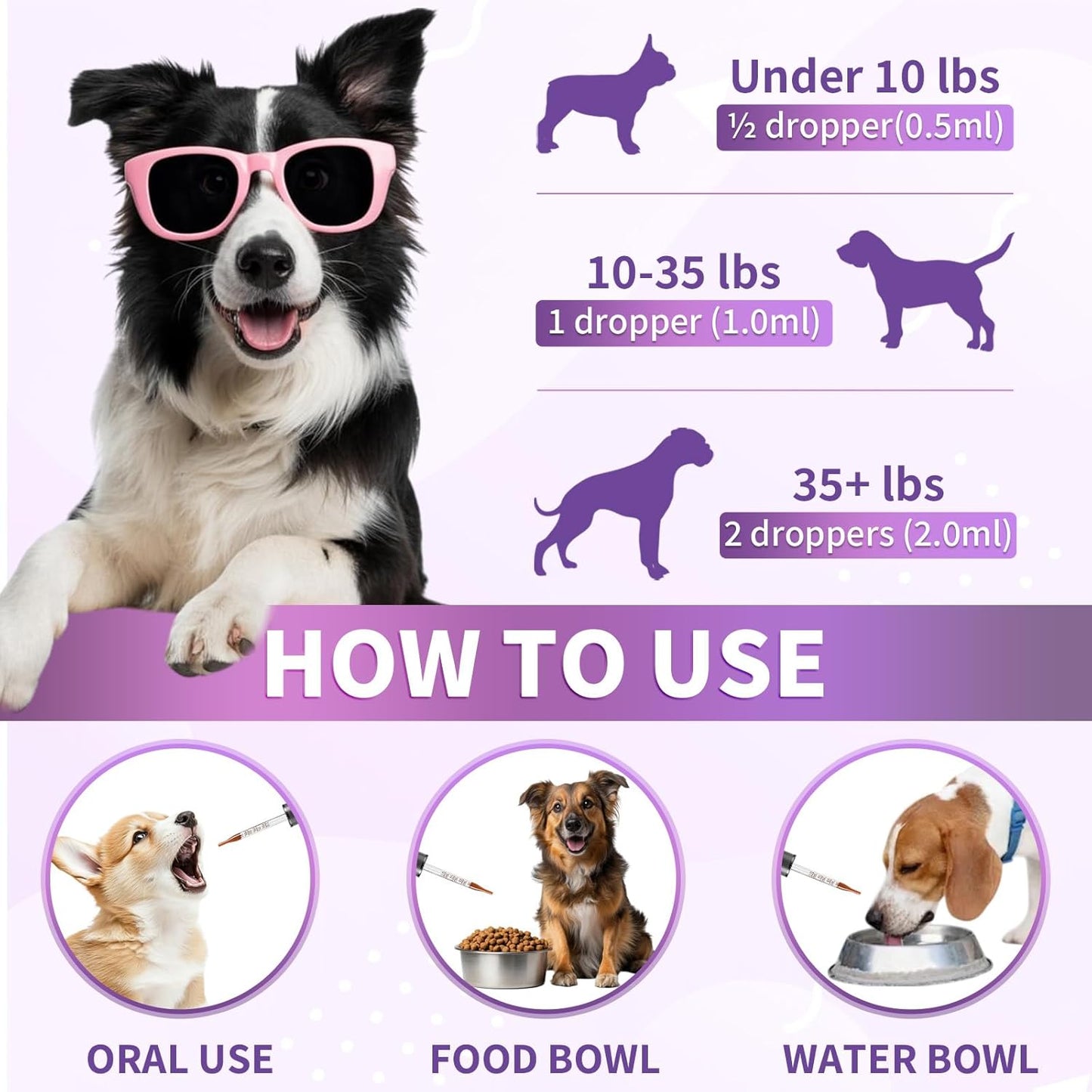 Dog Allergy Relief Drops, Skin & Coat Support with Fish Oil and Omega-3, Natural Immune Supplement for Dogs – Seasonal Allergy & Itchy Skin Care – Soothes Sensitive Skin, Itch Relief for Dog, 2 Fl oz