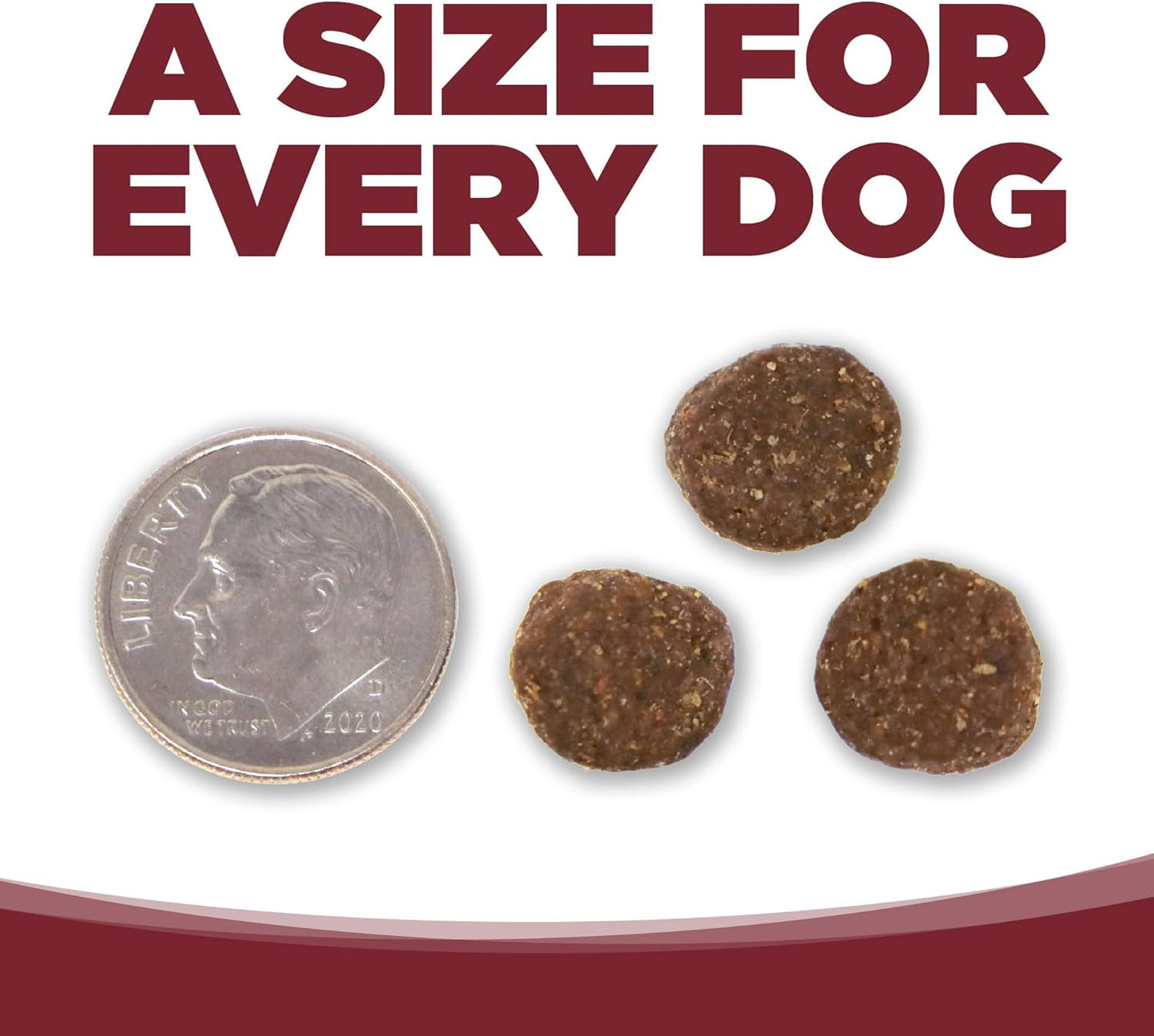 NutriSource Dry Dog Food, Beef and Rice, 4LB