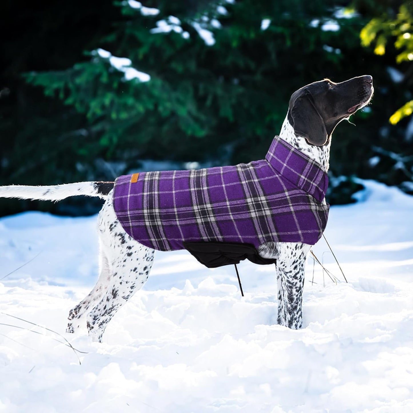 Kuoser Waterproof Dog Coat, Reversible Dog Jacket for Large Dogs, Adjustable Durable Doggie Winter Coat for Groowing Puppies Warm Puppy Cold Weather Apparel, Purple L