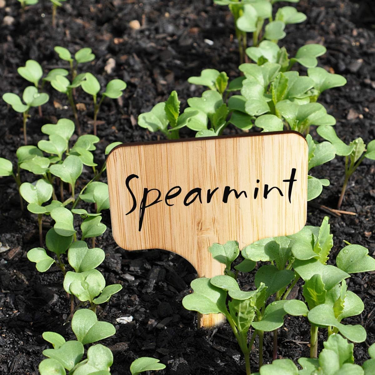 Homenote Bamboo Plant Labels 60Pcs Plant Tags for Seedlings T-Type Tags for Plants Outdoor Garden Markers Vegetable Seedling(2.36 * 4“