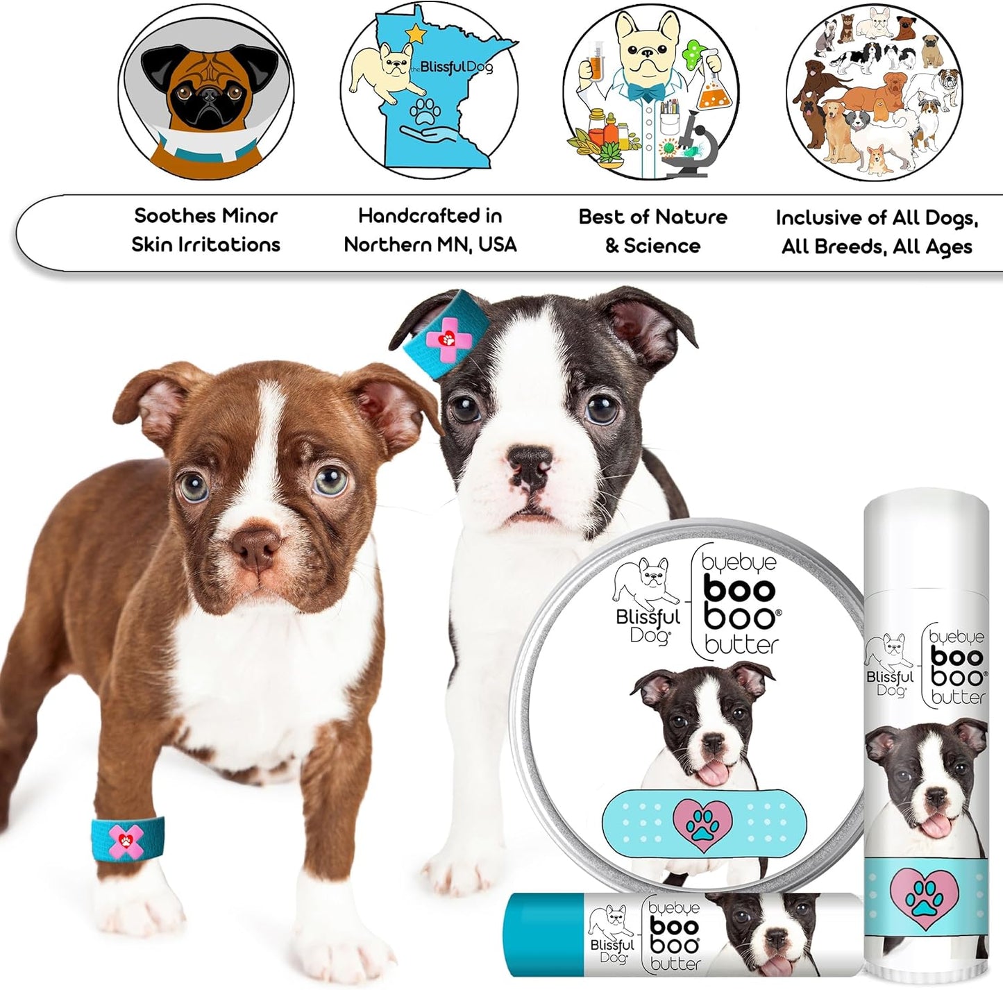 The Blissful Dog 2 oz TIN Boston Terrier Booboo Butter