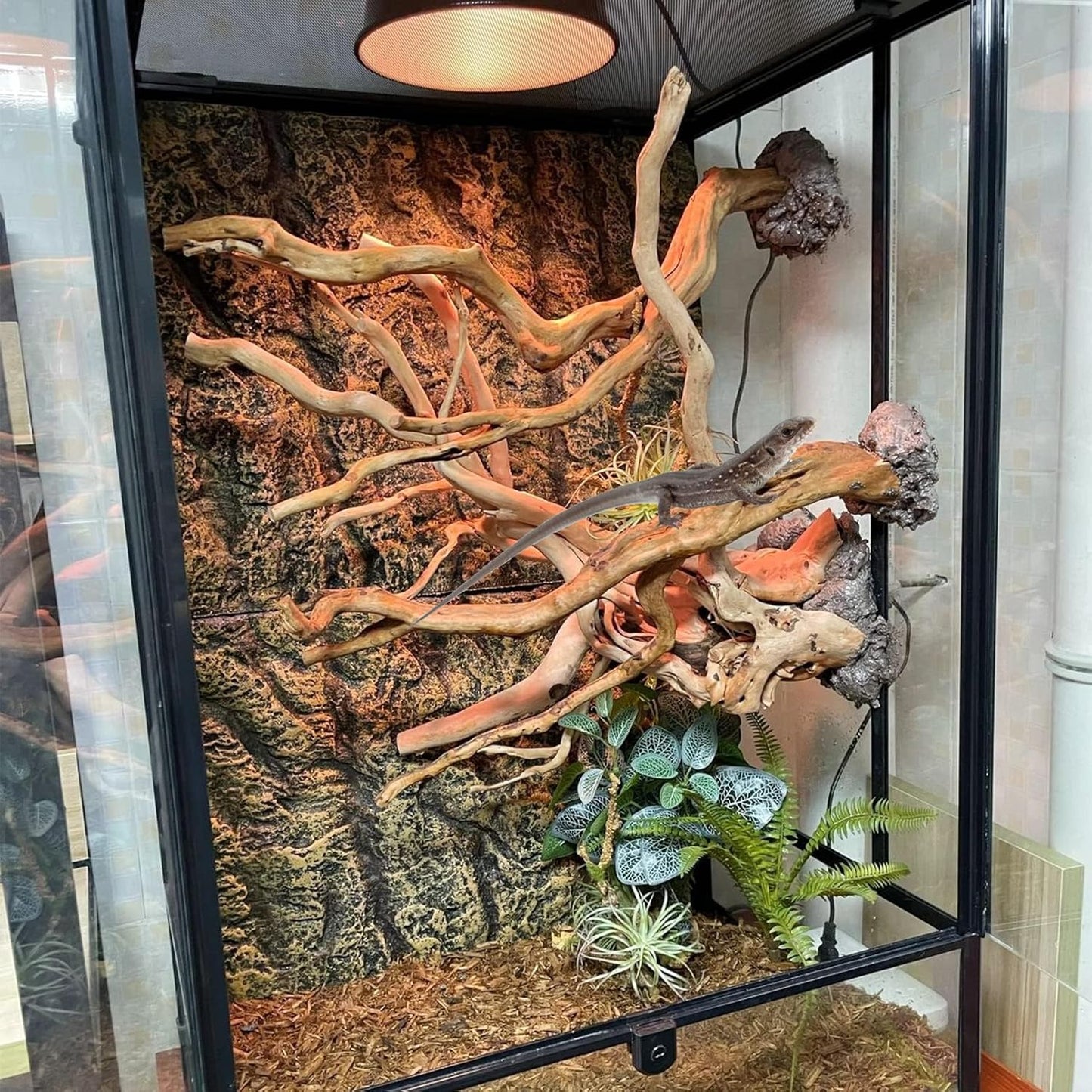 BNOSDM 2PCS Reptile Wood Branches Decor Lizard Habitat Decoration Snake Climbing Branch Accessories Terrarium Tree Trunk Ornament for Bearded Dragon Gecko Frog Chameleon Spider