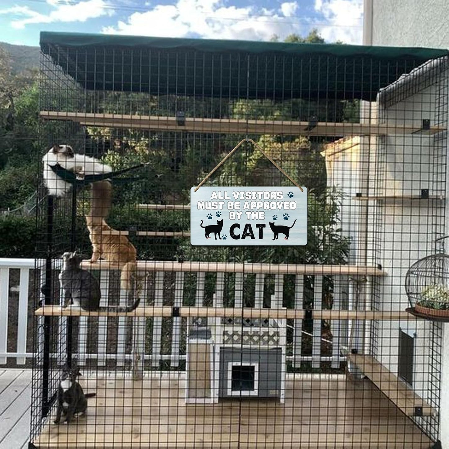 Black Cat Decor For Cat Lovers Cat Wooden Door Sign Cat Gifts For Cat Lovers Wood Cat Home Wall Decor All Visitors Must Be Approved By The Cat Signs Love Wall Decoration Cat Funny Cats Sign 12x6 In