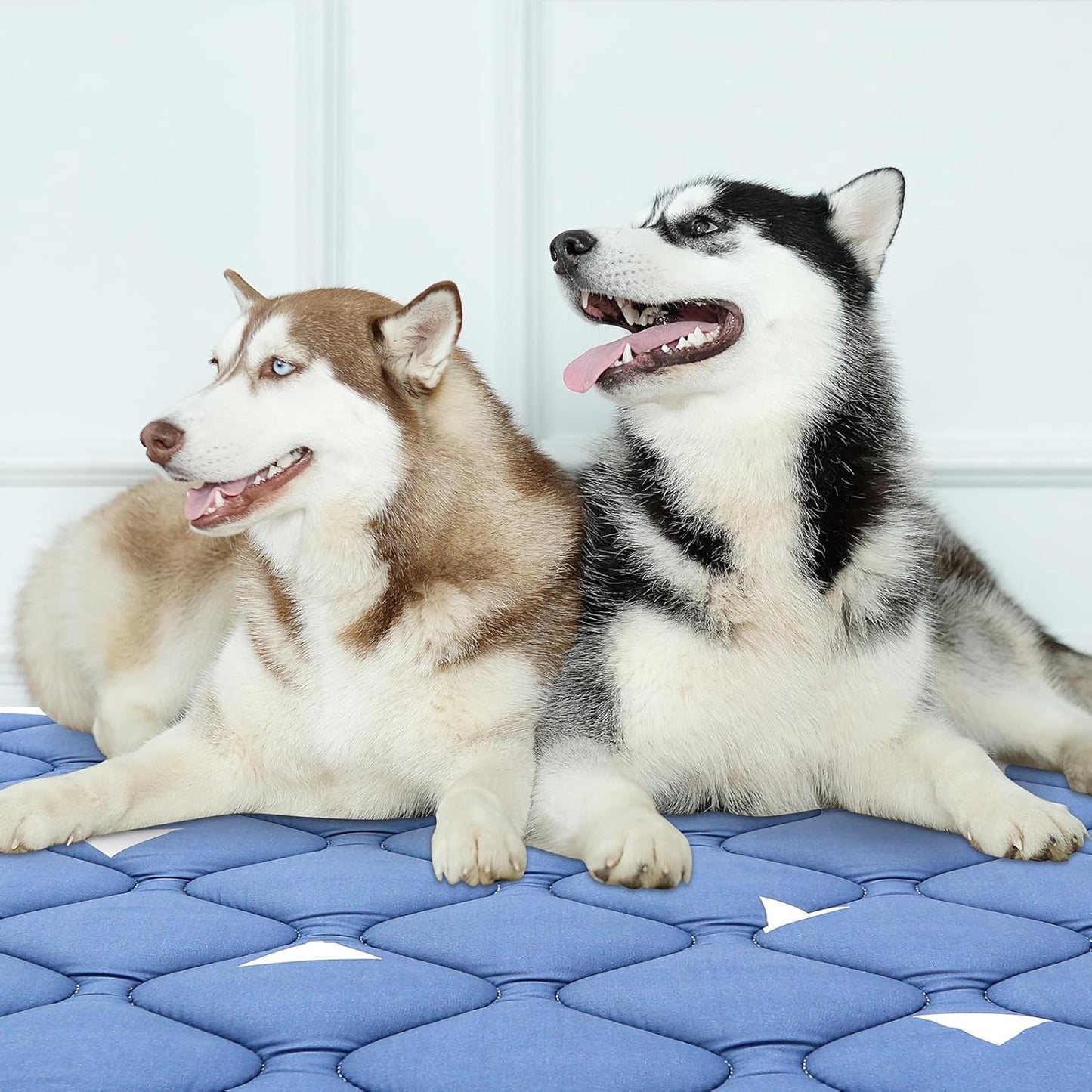 Dog Crate Mat, Ultra Soft Dog Bed Mat for Sleeping with Anti-Slip Bottom, Washable Kennel Pad for Large Medium Small Dogs Breeds with Cute Prints and Dark Colored to Hide Stains (42" X 28")