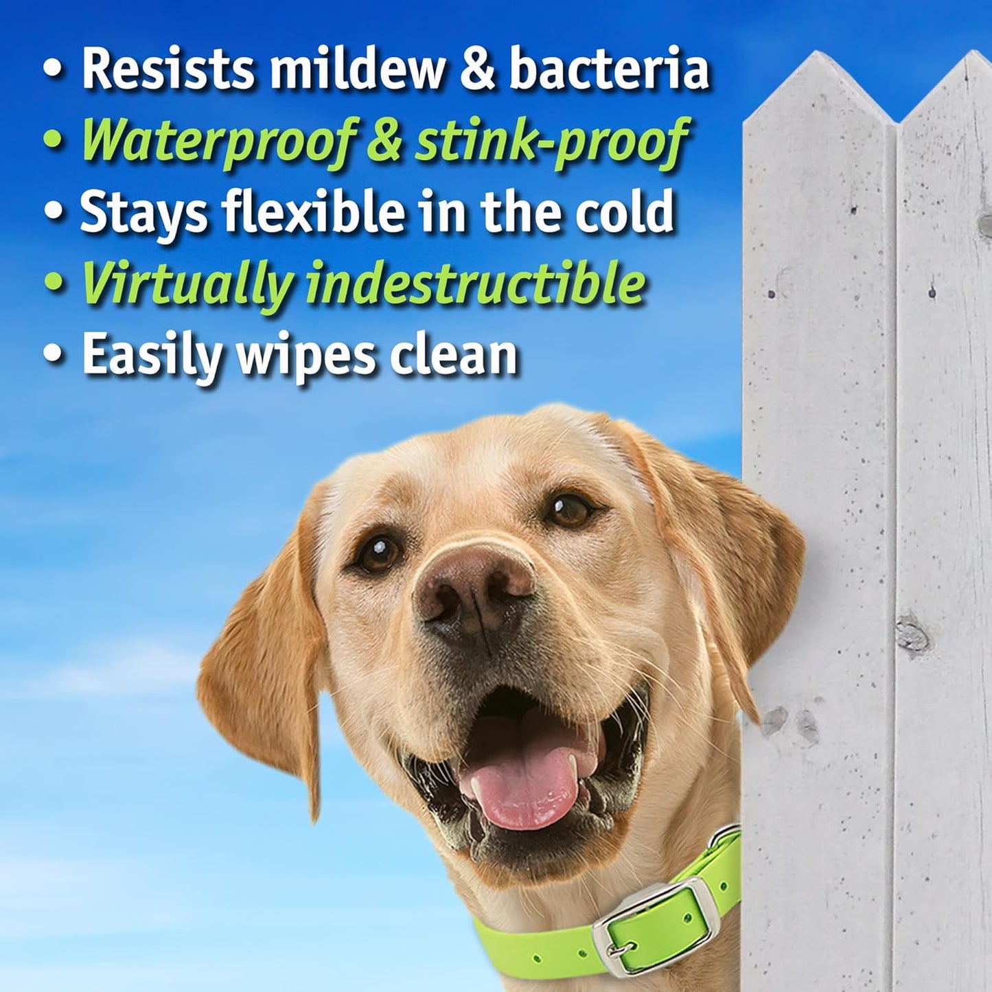 Biothane Custom Dog Collar – Waterproof, Stink-Proof Personalized Collar with Name & Phone Number – Durable, Many Sizes and Colors – Assembled in USA (Forest Green)