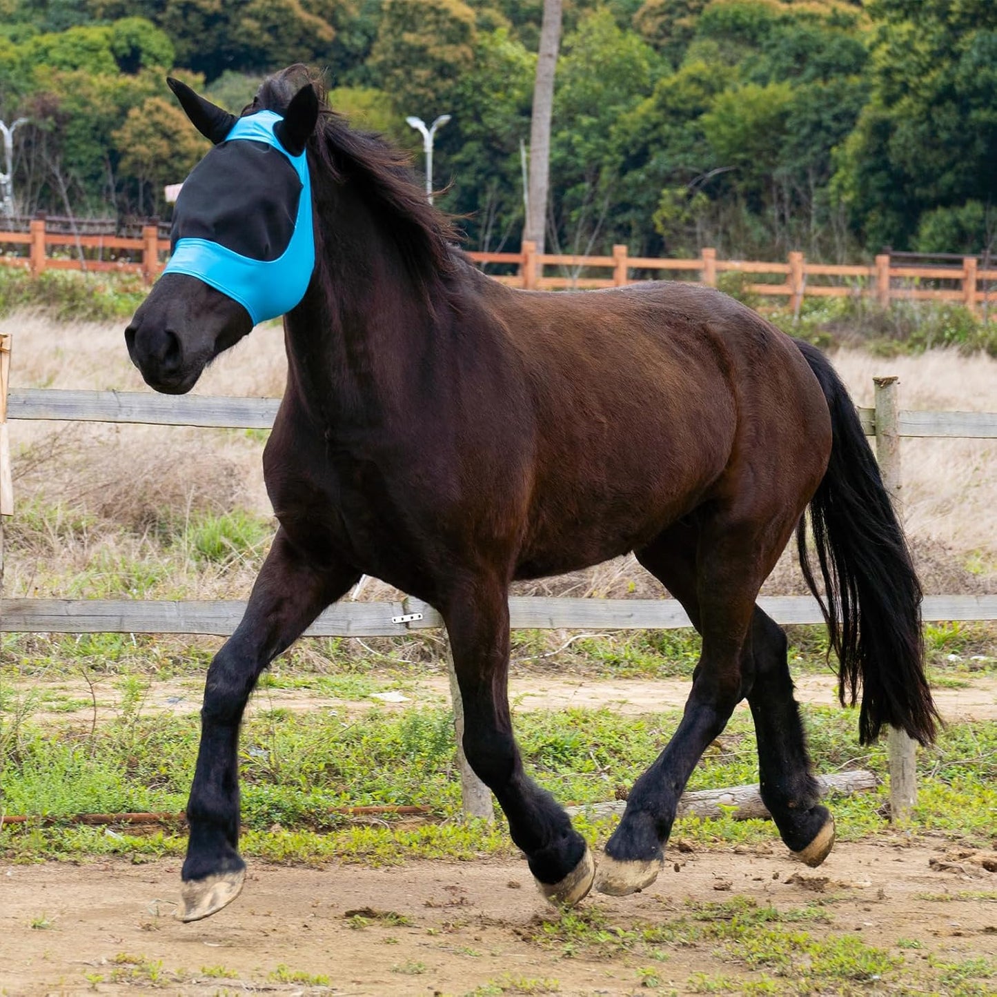 2 Piece Horse Fly Mask with Ears, Comfortable Fit Stretch Fabric Big Eye Space Soft Breathable with UV Protection for Full Horses (Blue-Pink)