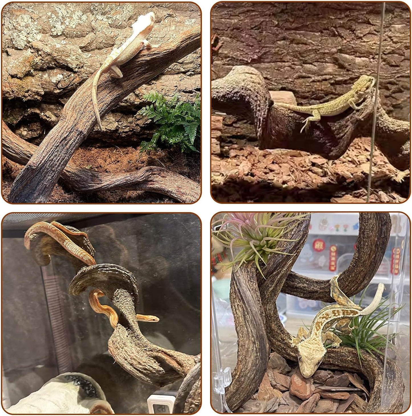 BNOSDM 2Pcs Reptile Climbing Branches Decor,Snake Climbing Branch,Gecko Climb Wood,Lizard Forest Branch,Tank Habitat Tree Trunk Decorations for Bearded Dragons,Chameleons,Spider,Frogs (M)
