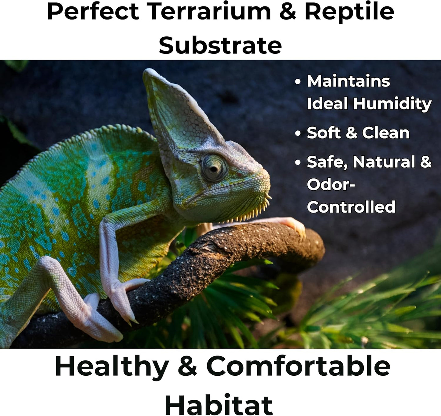 Peat Moss for Plants – Organic Sphagnum Peat Moss for Orchids, Terrariums, Seed Starting, Reptiles & Potting Soil Mix (3 quarts)