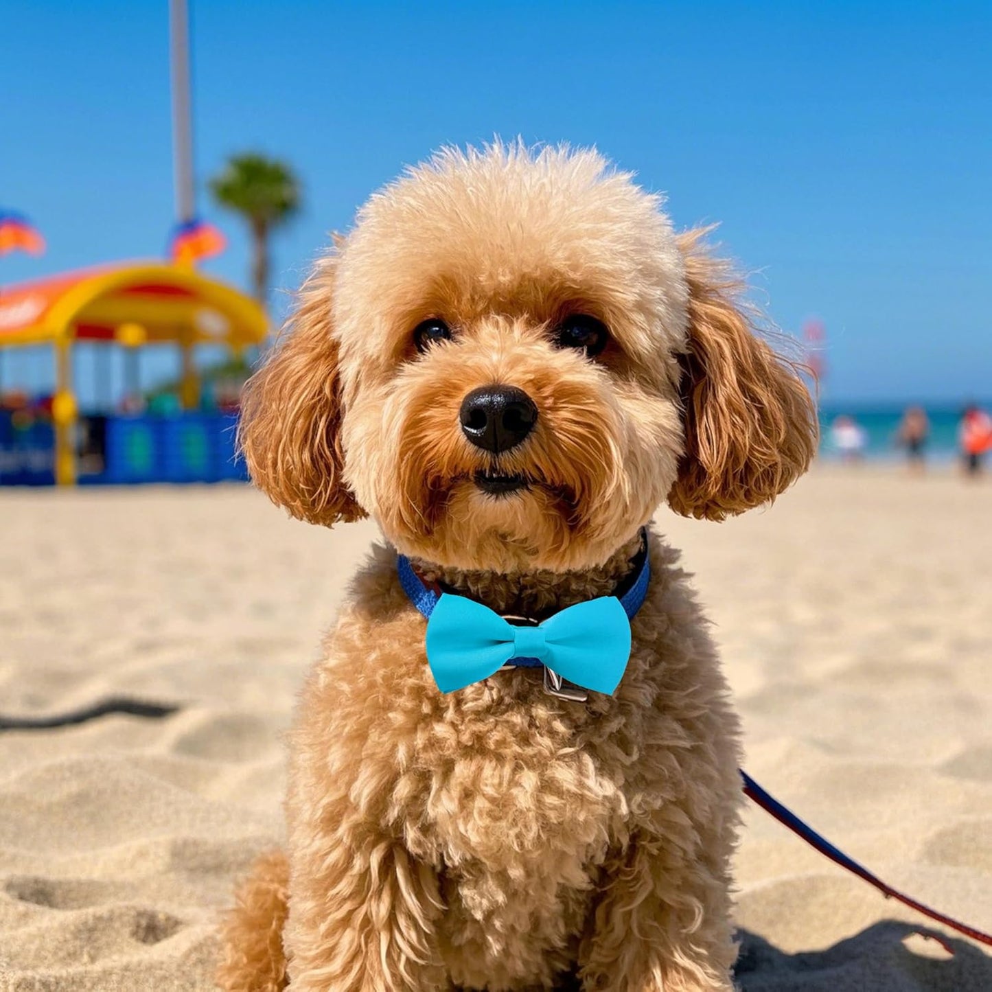 PET SHOW 12 Colors Plain Small Dogs Collar Embellishment Attachment Bow Ties Puppies Cats Collar Charms Accessories Slides Bowties for Birthday Wedding Parties Assorted Pack of 12