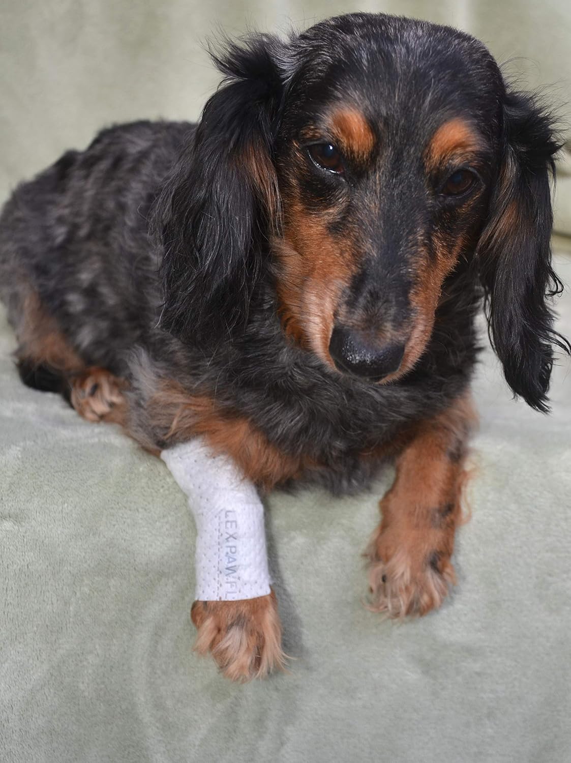 Protective Sleeve Tubular Cover - Bandages - for Dogs Cats and Other Pets First Aid Wound Care Comfortable Non-Adhesive Breathable & Water Resistant 12 Strips (yields 24-36 Covers)-(XX-Small)