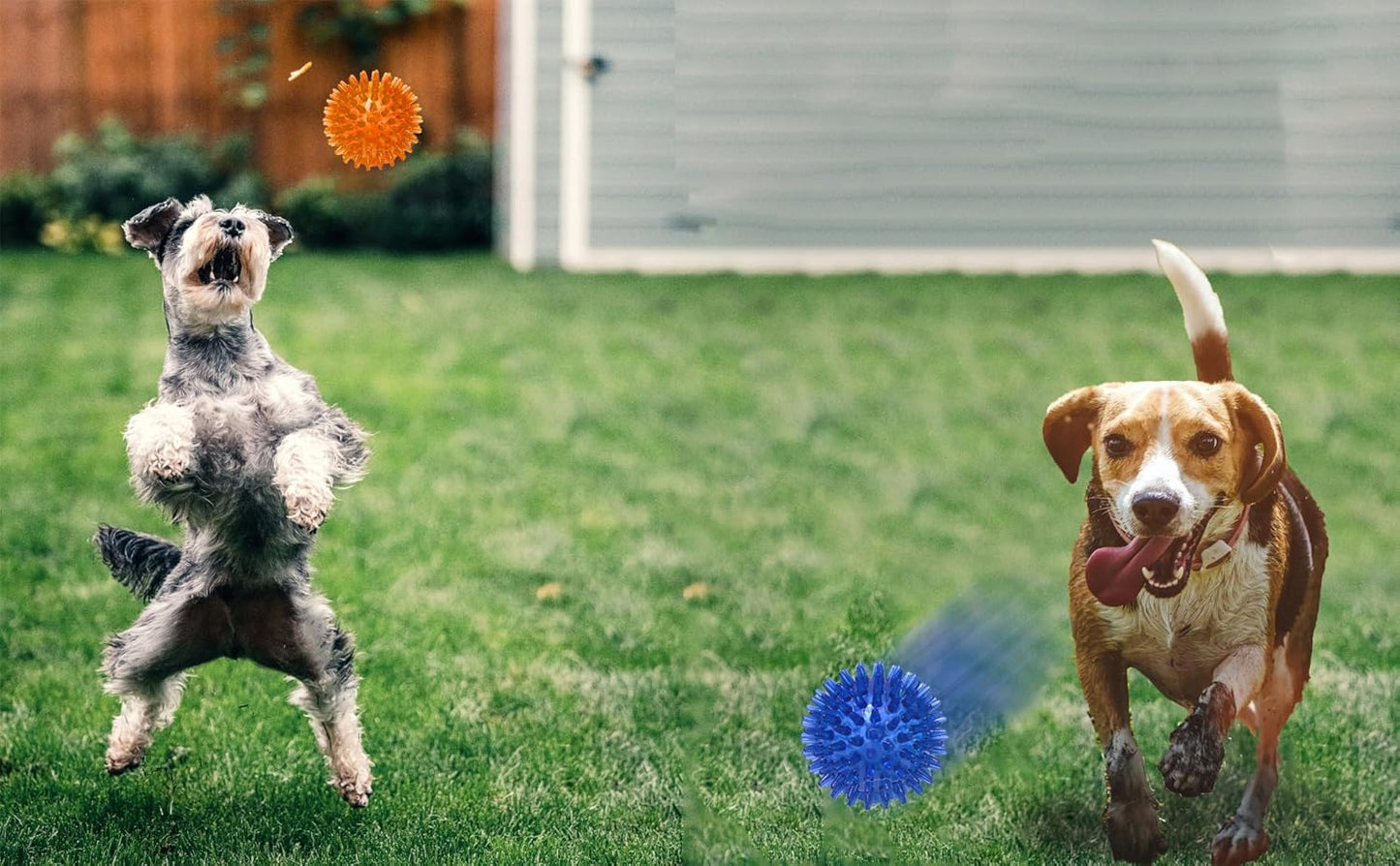 Jalousie Dog Squeaky Toys Value Set Non-Toxic Squeaky Balls Toss Fetch TPR Rubber Puppy Toys Spikey Dog Chew Toy for Small Medium Breed Pet Toys for Puppy (3 Pack Spiky Balls)