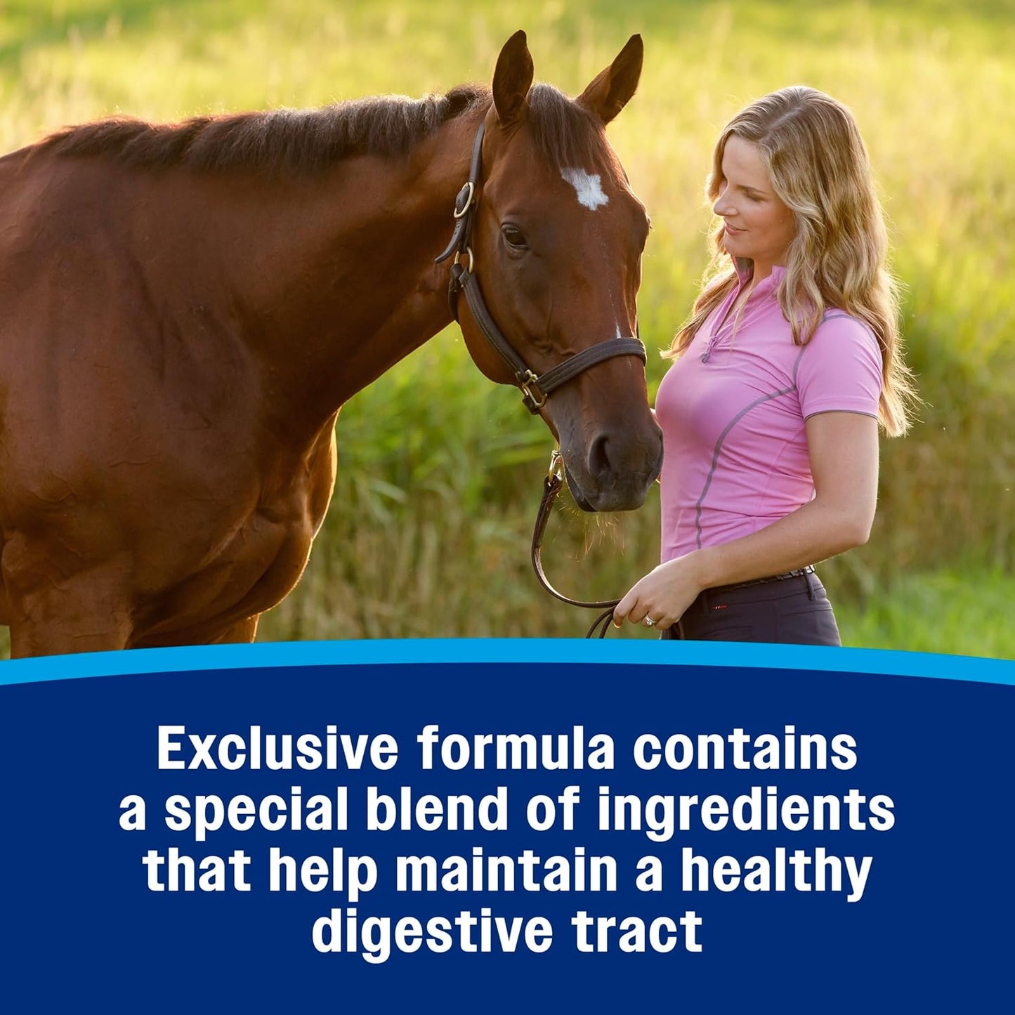 Farnam Hindgut Stabilizer Pellets, Daily Digestive & Immune Supplement for Horses Helps Maintain a Balanced Microbiome for Optimal Digestion