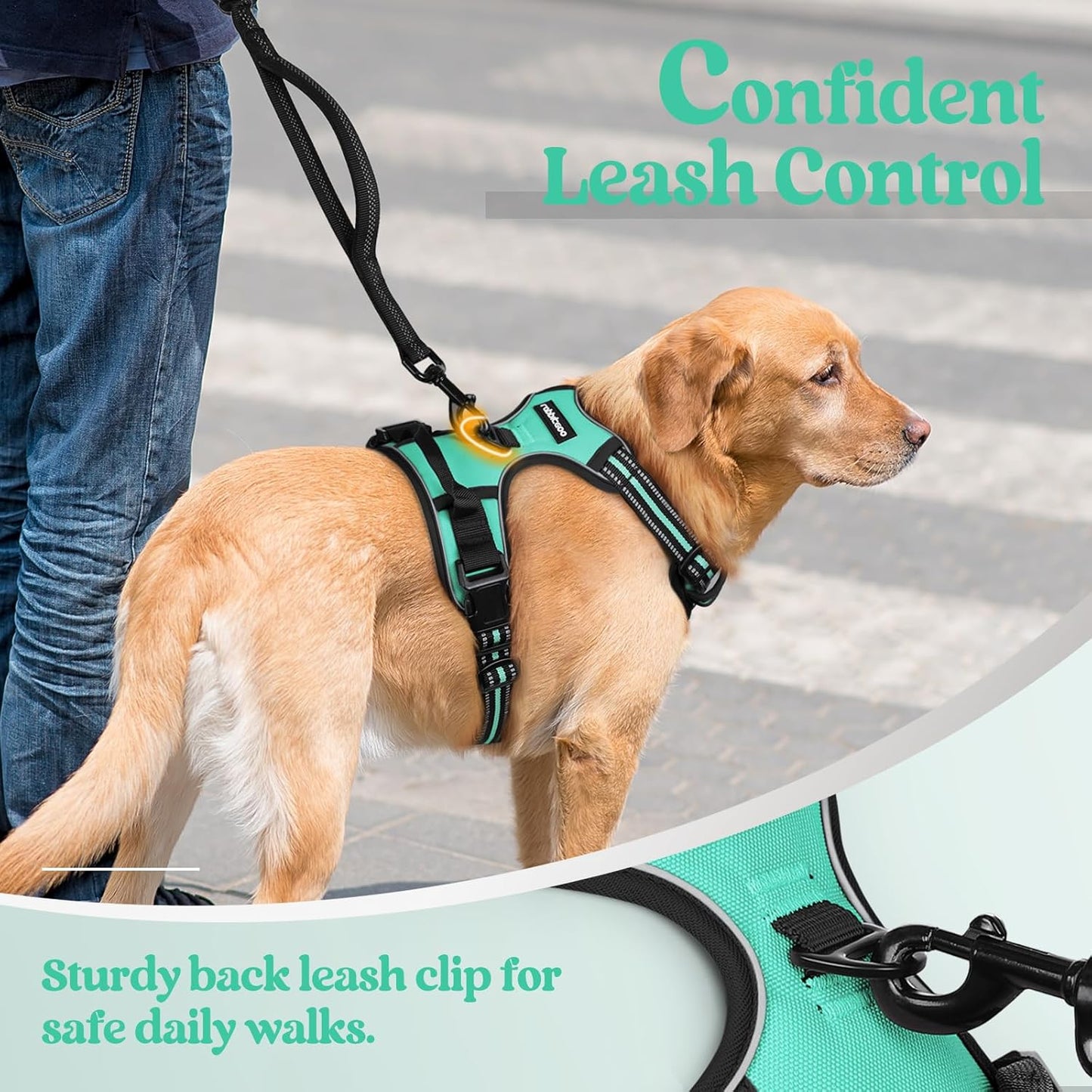 rabbitgoo Dog Harness No Pull with 2 Leash Clips, Adjustable Soft Padded, Reflective Oxford No Choke Pet Vest with Easy Control Handle for Medium Sized Dogs, Turquoise, M