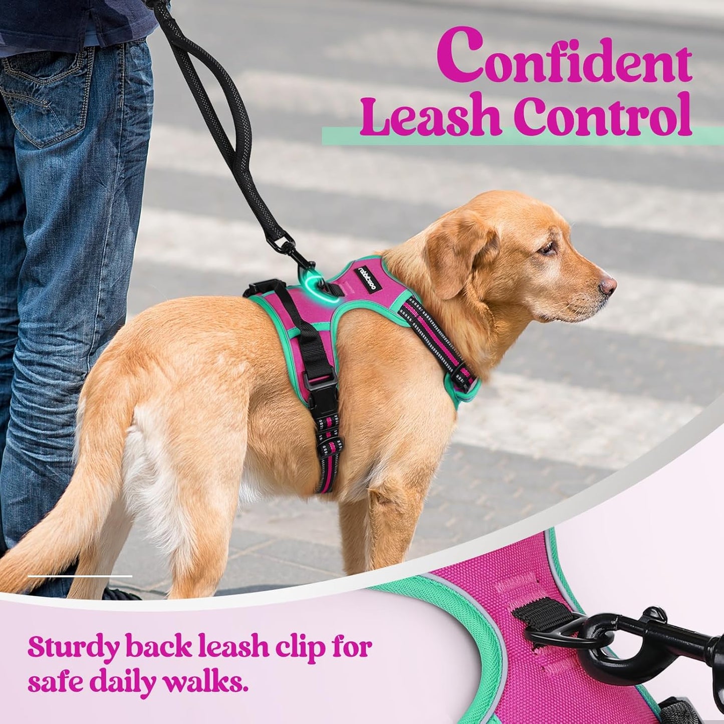 rabbitgoo Dog Harness No Pull with 2 Leash Clips, Adjustable Soft Padded, Reflective Oxford No Choke Pet Vest with Easy Control Handle for Large Dogs, Hot Pink & Turquoise, M