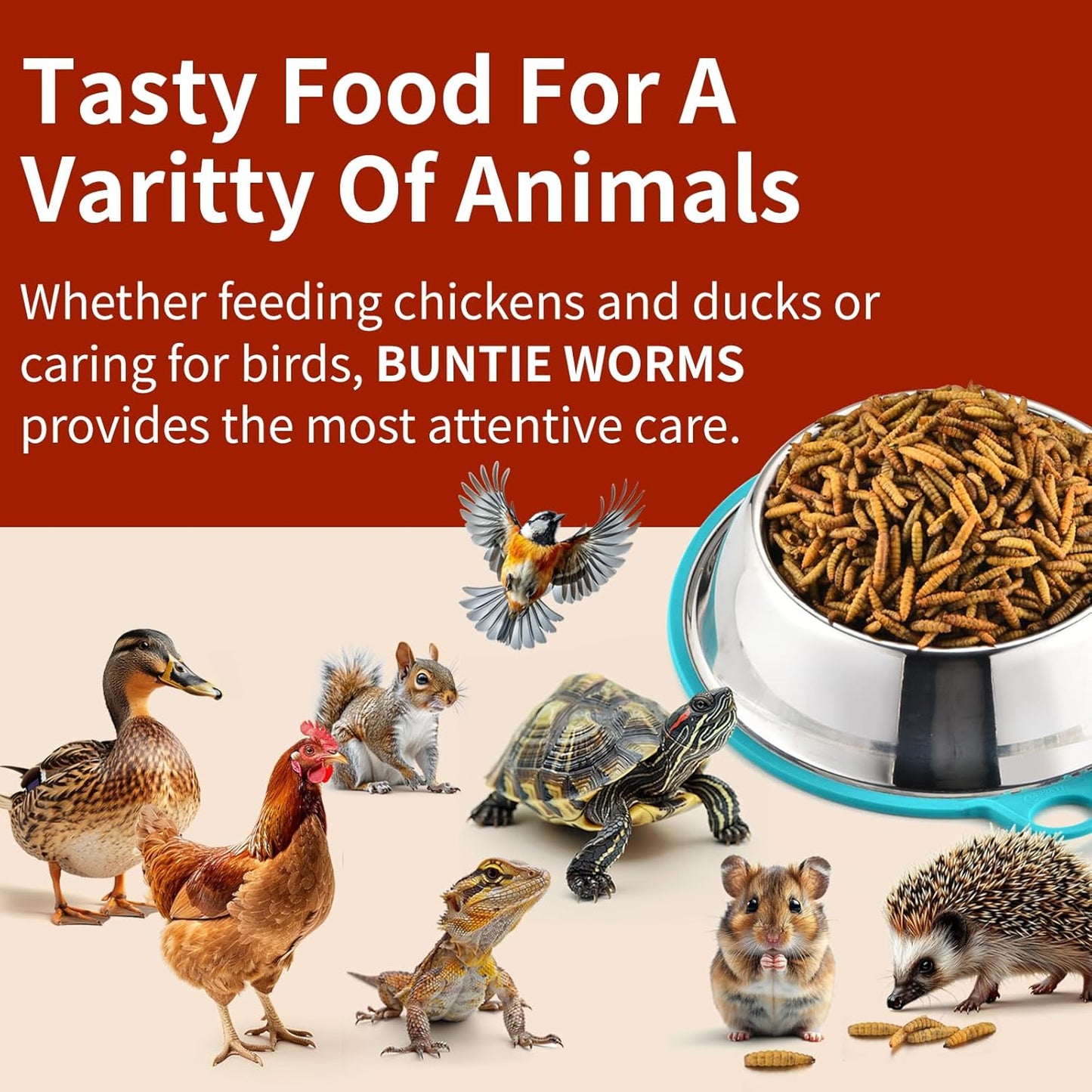 Dried Black Soldier Fly Larvae 5LB, High Protein Chicken Feed, 100% Natural Non-GMO – Treat for Chicken More Calcium Than Mealworms, Food for Laying Hen, Ducks, Wild Birds