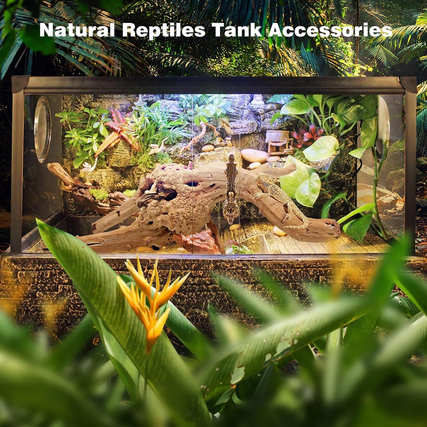 WDEFUN Natural Spiderwood for Aquarium Decor 2-Piece 11''-14'' Long Natural Driftwood Branches for Fish Tank Decorations