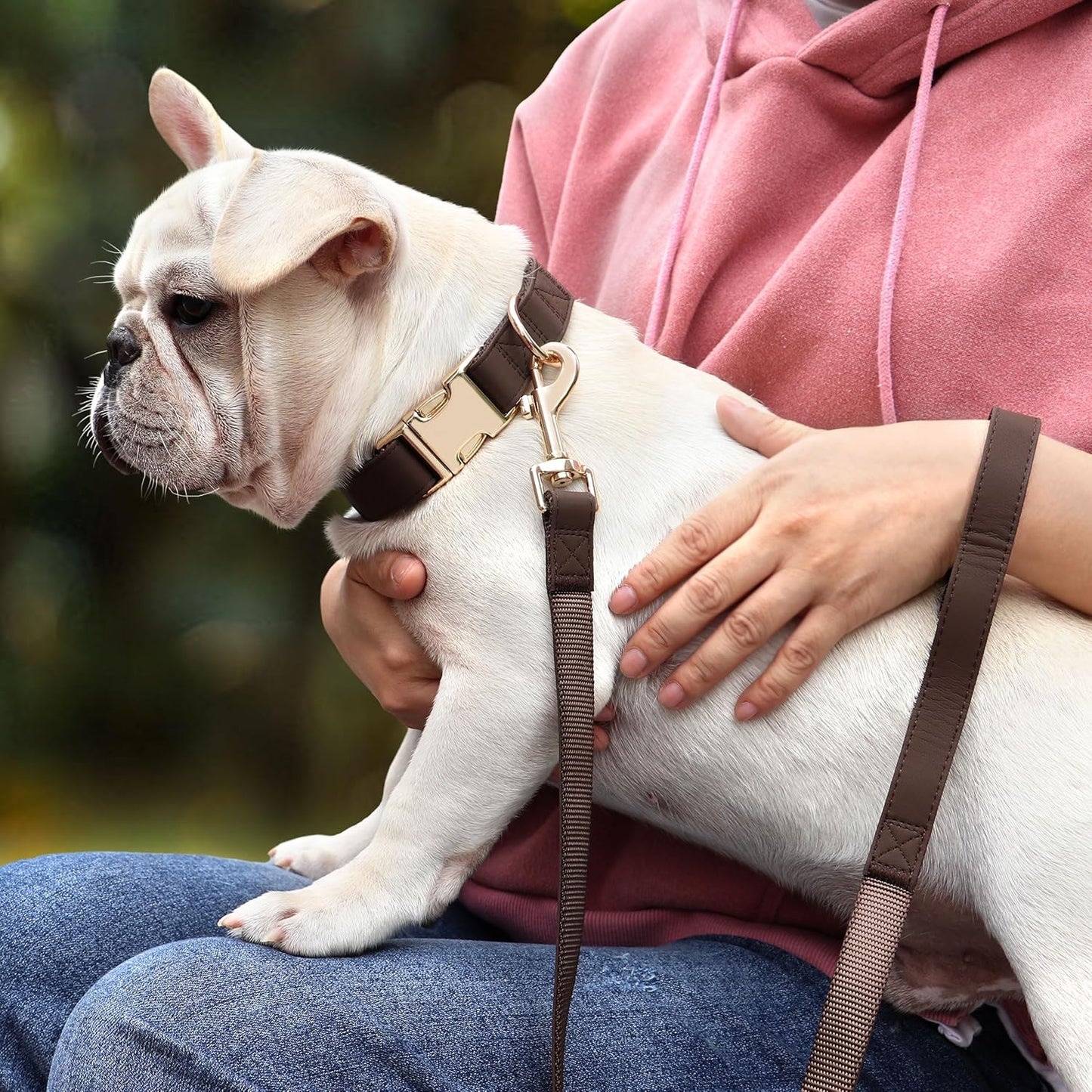 PET ARTIST PU Leather Dog Collar, Bright & Stylish Brown Dog Collar with Quick Release Gold Metal Buckle, Soft Nylon Padded Durable Pet Collars Adjustable for Large Dogs, Neck Fit 16-27"