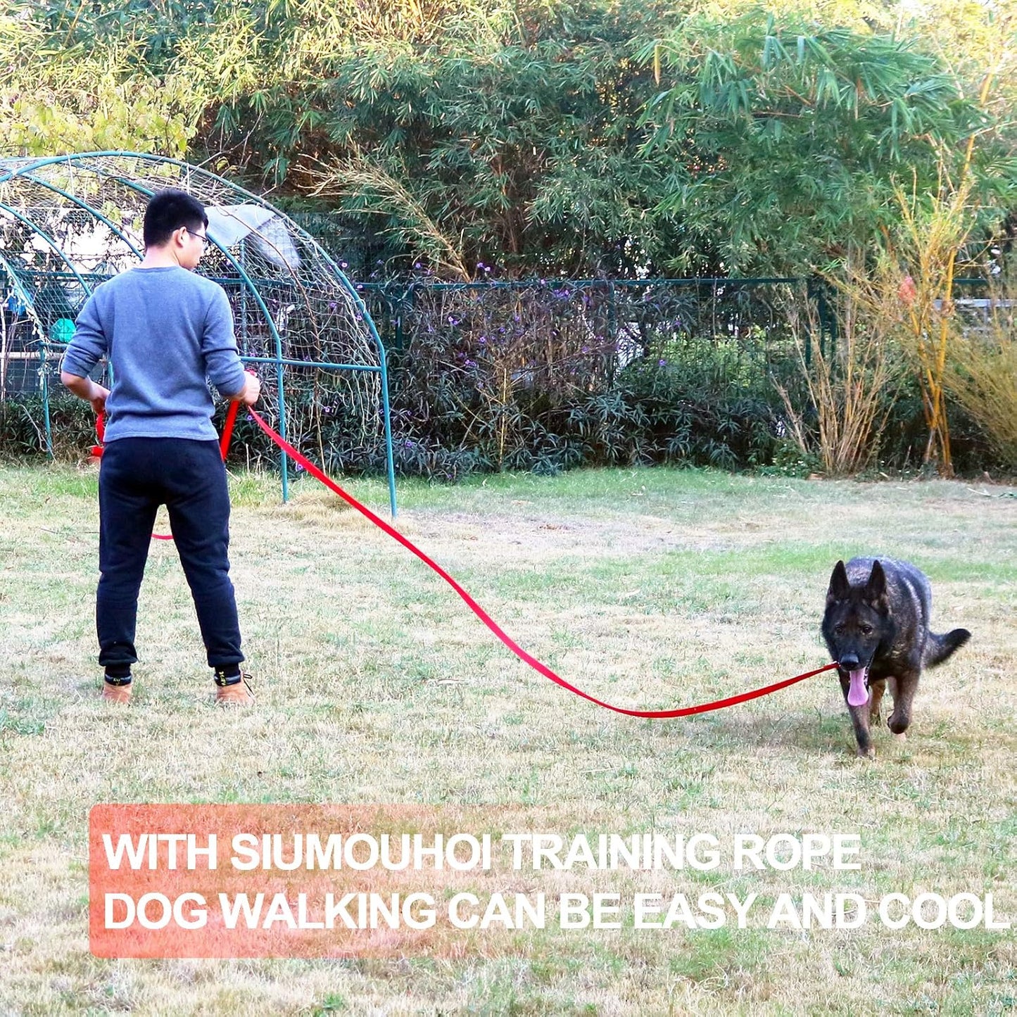 Siumouhoi Dog/Puppy Obedience Recall Training Agility Lead - 15ft 20ft 30ft 40ft 50ft Training Leash - Great for Play, Camping, or Backyard - Orange 30ft (30Feet, Orange)
