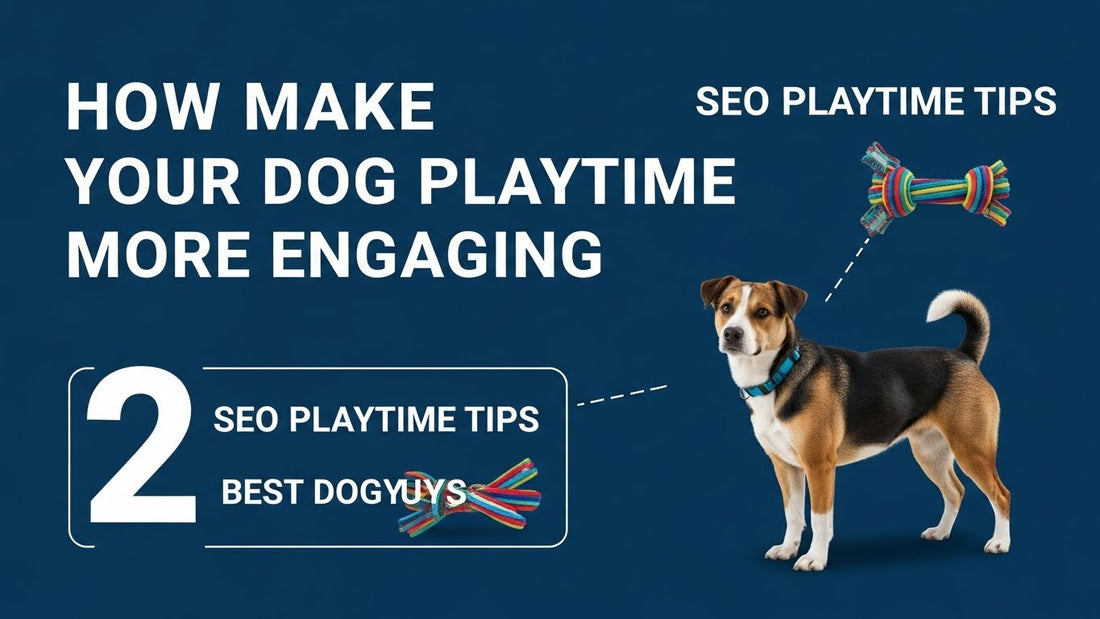 How to Make Your Dog’s Playtime More Engaging