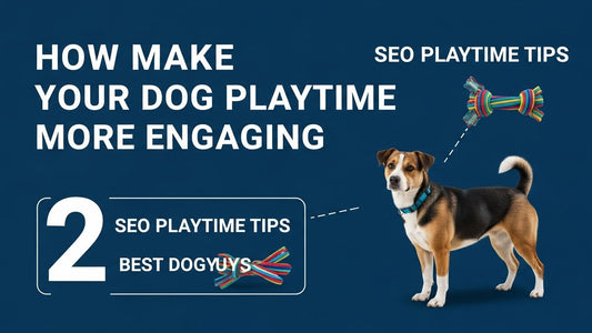 How to Make Your Dog’s Playtime More Engaging