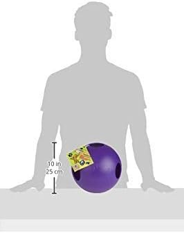 Jolly Pets Teaser Ball Dog Toy, Extra Large/10 Inches, Purple, X - Large/10 Inches (1510 PR)
