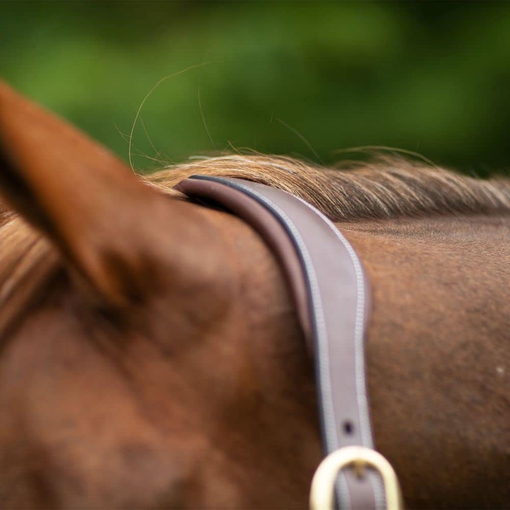 Joseph Sterling Comfort Crown Leather Halter for Horses | Memory Foam Interior for Comfort | Anatomical Design Radiant Chocolate Color with Fancy Stitch Design