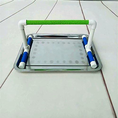Hypeety Small Bird Parrot Stand Perch Table Top Stand Playground Grind Perch Swing Training Playstand Exercise Chew Toys for Budgies Parakeet Cockatiel Conure Finch (Stainless Steel Tray, L)