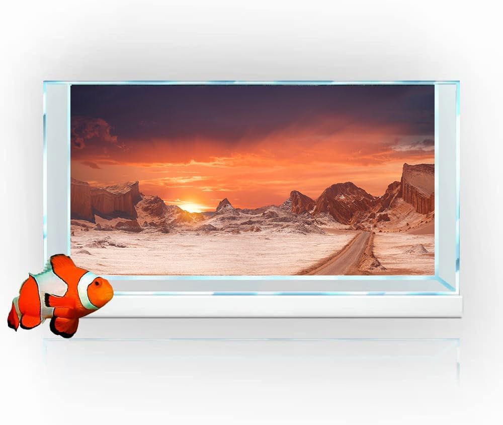 48X24IN Sun and Desert Moon Themed Reptile Habitat on Orange Durable Decorative Background, Terrarium Background with 10EVA Double-Sided Tape