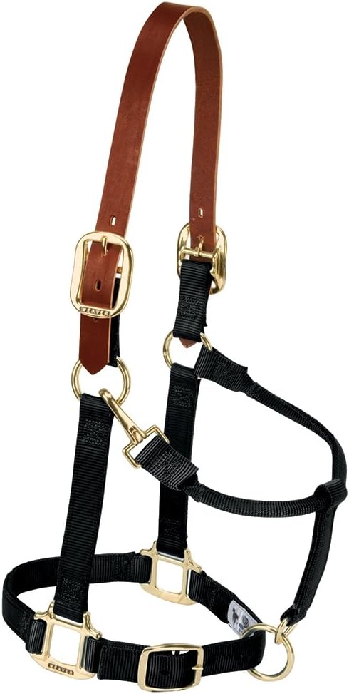 Weaver Equine Breakaway Horse Halter, Supple Leather Crown, Adjustable Chin & Throat Snap Halters for Horses, Equine Tack,Pony Size, Black