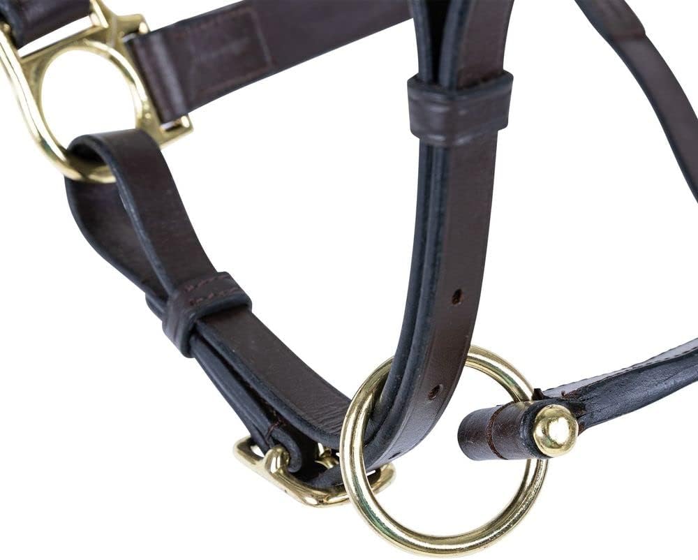 Schneiders Premier Lancaster Fixed Throat Leather Halter for Horses | 1" Single-Ply Leather | Lightweight Everyday Design | Brass Hardware