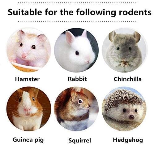 600g Guinea Pig and Rabbit Chew Toys - Sweet Bamboo and Timothy Apple Sticks for Healthy Teeth and Relaxation - Natural and Safe Guinea Pig Chew Toys