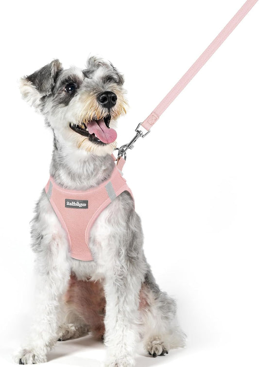 rabbitgoo Dog Harness Small Sized and Leash Set, Step in Soft Light Puppy Vest, Breathable Mesh Pet Harness, Reflective for Outdoor Safe Walking, Pink XL