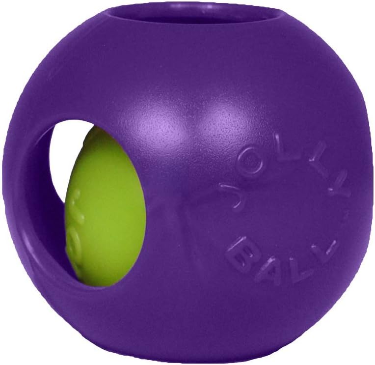 Jolly Pets Teaser Ball Dog Toy, Medium/6 Inches, Purple (1506 PR)